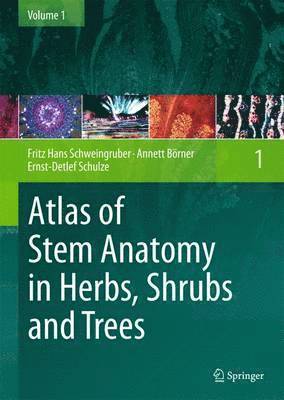 bokomslag Atlas of Stem Anatomy in Herbs, Shrubs and Trees