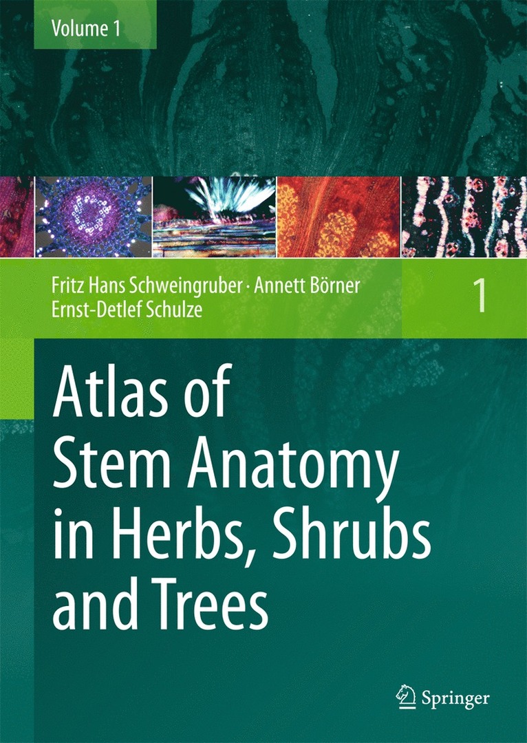 Fritz Hans Schweingruber, Annett Börner, Ernst-Detlef Schulze - Atlas of Stem Anatomy in Herbs, Shrubs and Trees, Inbunden