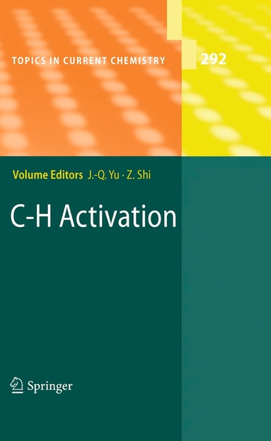 bokomslag C-H Activation