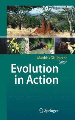 Evolution in Action 1