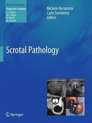 bokomslag Scrotal Pathology