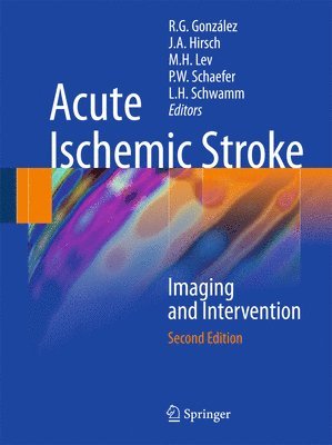 bokomslag Acute Ischemic Stroke