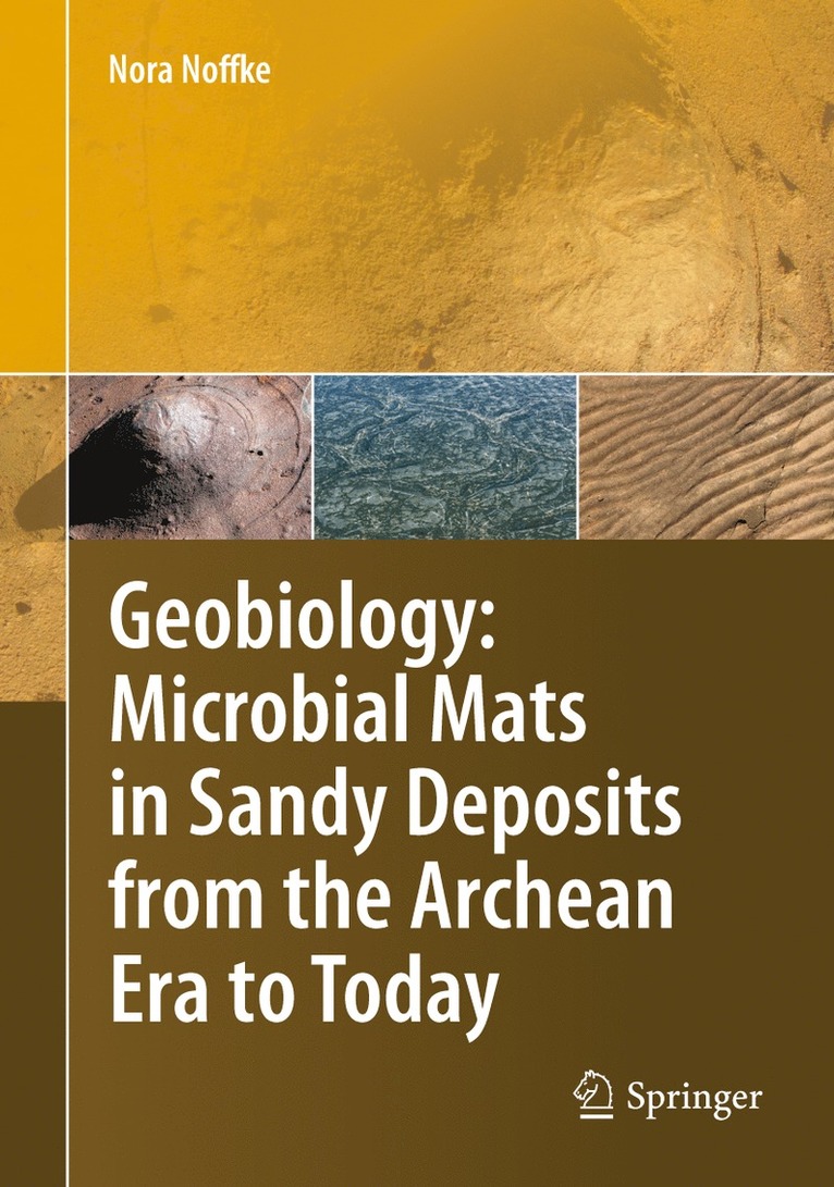 Nora Noffke - Geobiology, Inbunden