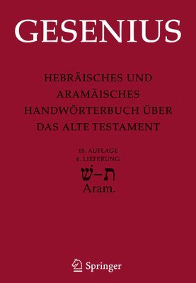 bokomslag Hebrisches und Aramisches Handwrterbuch ber das Alte Testament