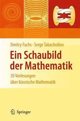 bokomslag Ein Schaubild der Mathematik