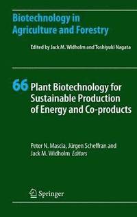 bokomslag Plant Biotechnology for Sustainable Production of Energy and Co-products