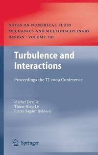 bokomslag Turbulence and Interactions