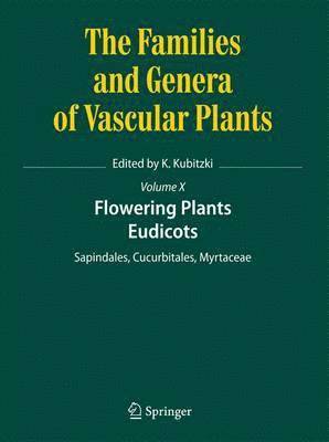 bokomslag Flowering Plants. Eudicots