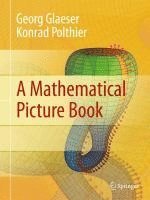 bokomslag A Mathematical Picture Book
