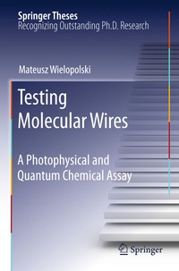 bokomslag Testing Molecular Wires