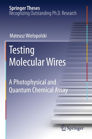 bokomslag Testing Molecular Wires