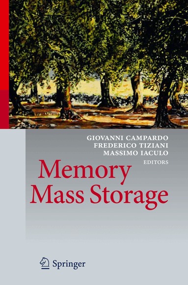 Giovanni Campardo, Federico Tiziani, Massimo Iaculo - Memory Mass Storage, Inbunden