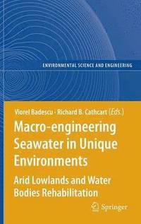 bokomslag Macro-engineering Seawater in Unique Environments
