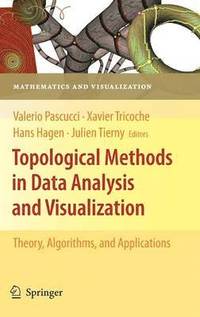 bokomslag Topological Methods in Data Analysis and Visualization