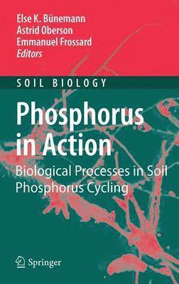 Else K. Bünemann, Astrid Oberson, Emmanuel Frossard, Else K. Bunemann - Phosphorus in Action, Inbunden