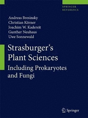 bokomslag Strasburger's Plant Sciences