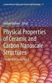 bokomslag Physical Properties of Ceramic and Carbon Nanoscale Structures