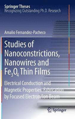 bokomslag Studies of Nanoconstrictions, Nanowires and Fe3O4 Thin Films