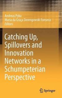 bokomslag Catching Up, Spillovers and Innovation Networks in a Schumpeterian Perspective