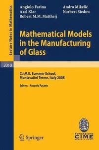 bokomslag Mathematical Models in the Manufacturing of Glass