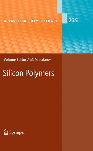 bokomslag Silicon Polymers