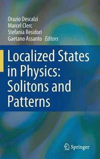 bokomslag Localized States in Physics: Solitons and Patterns