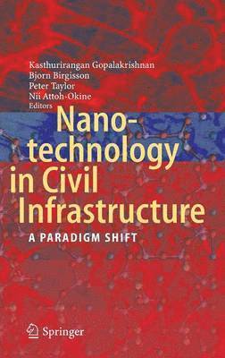 bokomslag Nanotechnology in Civil Infrastructure