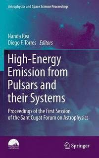 bokomslag High-Energy Emission from Pulsars and their Systems