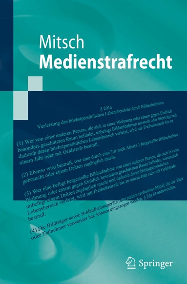 Wolfgang Mitsch - Medienstrafrecht, Häftad