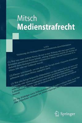 Wolfgang Mitsch - Medienstrafrecht, Häftad