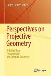 bokomslag Perspectives on Projective Geometry