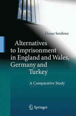 bokomslag Alternatives to Imprisonment in England and Wales, Germany and Turkey