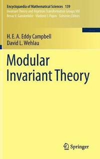 bokomslag Modular Invariant Theory