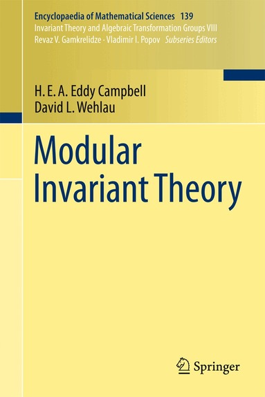 H.E.A. Eddy Campbell, David L. Wehlau - Modular Invariant Theory, Inbunden