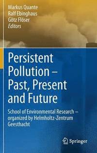 bokomslag Persistent Pollution - Past, Present and Future