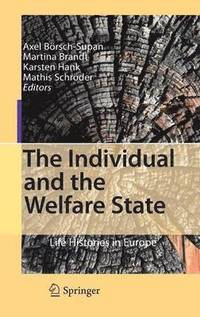 bokomslag The Individual and the Welfare State