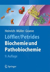 bokomslag Loeffler/Petrides Biochemie  und Pathobiochemie