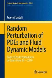 bokomslag Random Perturbation of PDEs and Fluid Dynamic Models