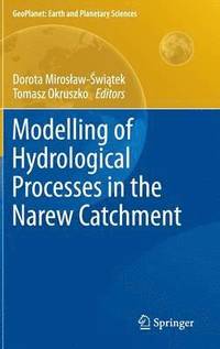 bokomslag Modelling of Hydrological Processes in the Narew Catchment