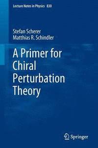 bokomslag A Primer for Chiral Perturbation Theory