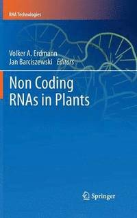 bokomslag Non Coding RNAs in Plants