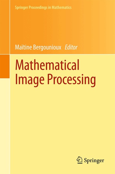 Maïtine Bergounioux - Mathematical Image Processing, Inbunden
