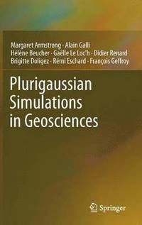 bokomslag Plurigaussian Simulations in Geosciences