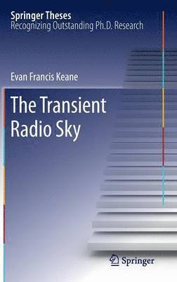 bokomslag Transient Radio Sky