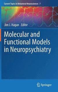 bokomslag Molecular and Functional Models in Neuropsychiatry