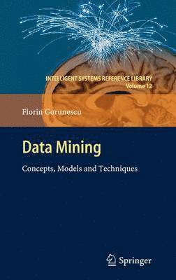 Florin Gorunescu - Data Mining, Inbunden