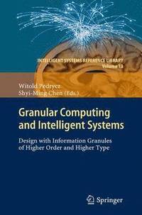 bokomslag Granular Computing and Intelligent Systems