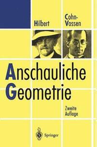 bokomslag Anschauliche Geometrie