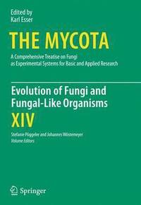 bokomslag Evolution of Fungi and Fungal-Like Organisms