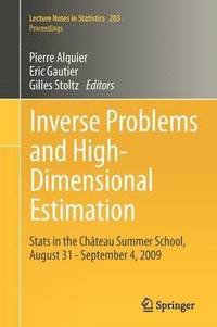 bokomslag Inverse Problems and High-Dimensional Estimation